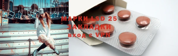 PSILOCYBIN Армянск
