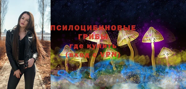 PSILOCYBIN Армянск