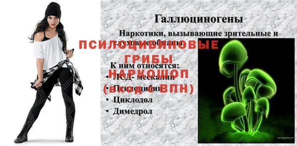 PSILOCYBIN Армянск