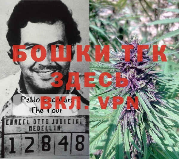 PSILOCYBIN Армянск
