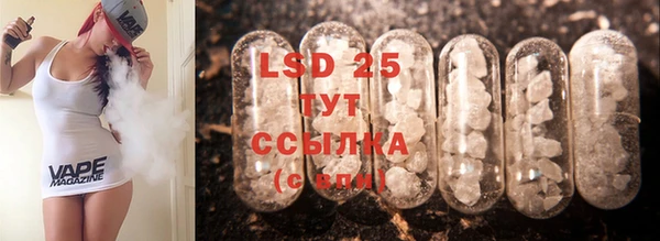 PSILOCYBIN Армянск
