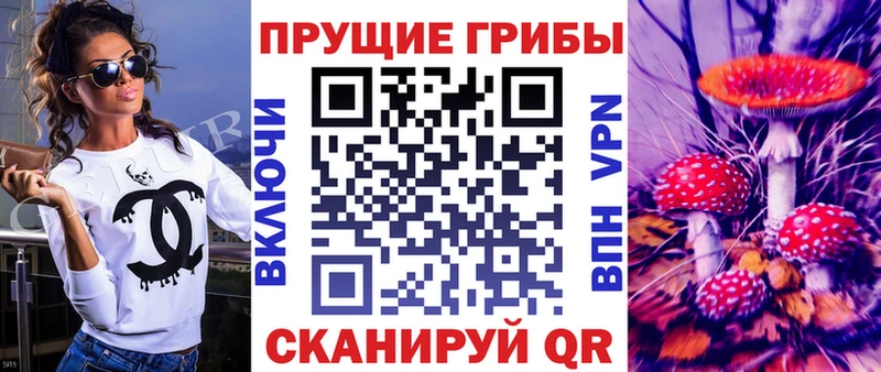 Галлюциногенные грибы Cubensis  Белгород 